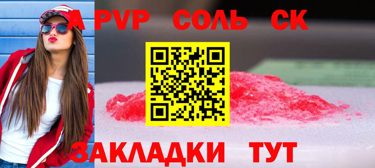 A PVP СК КРИС Гатчина