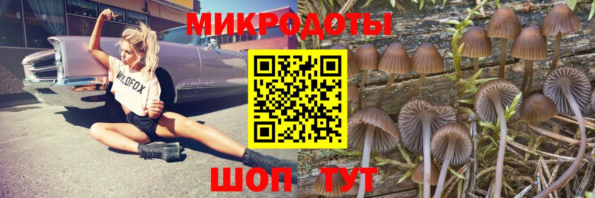 Галлюциногенные грибы мицелий Гатчина