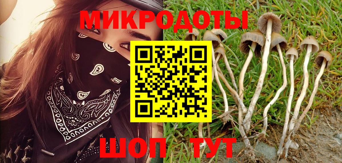 Псилоцибиновые грибы ЛСД  Вход с VPN  Гатчина 